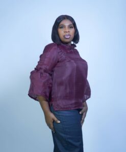 Wine Flute Sleeve Organza Blouse